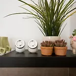 Balcony 부다페스트